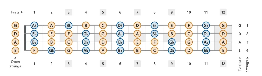 Bass guitar notes.webp