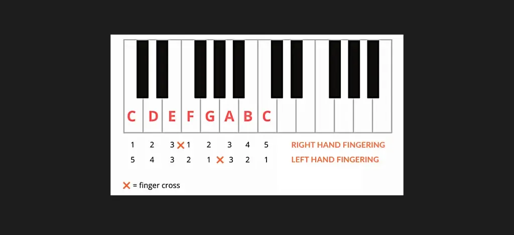 Take a look at the C major scale and how to play it